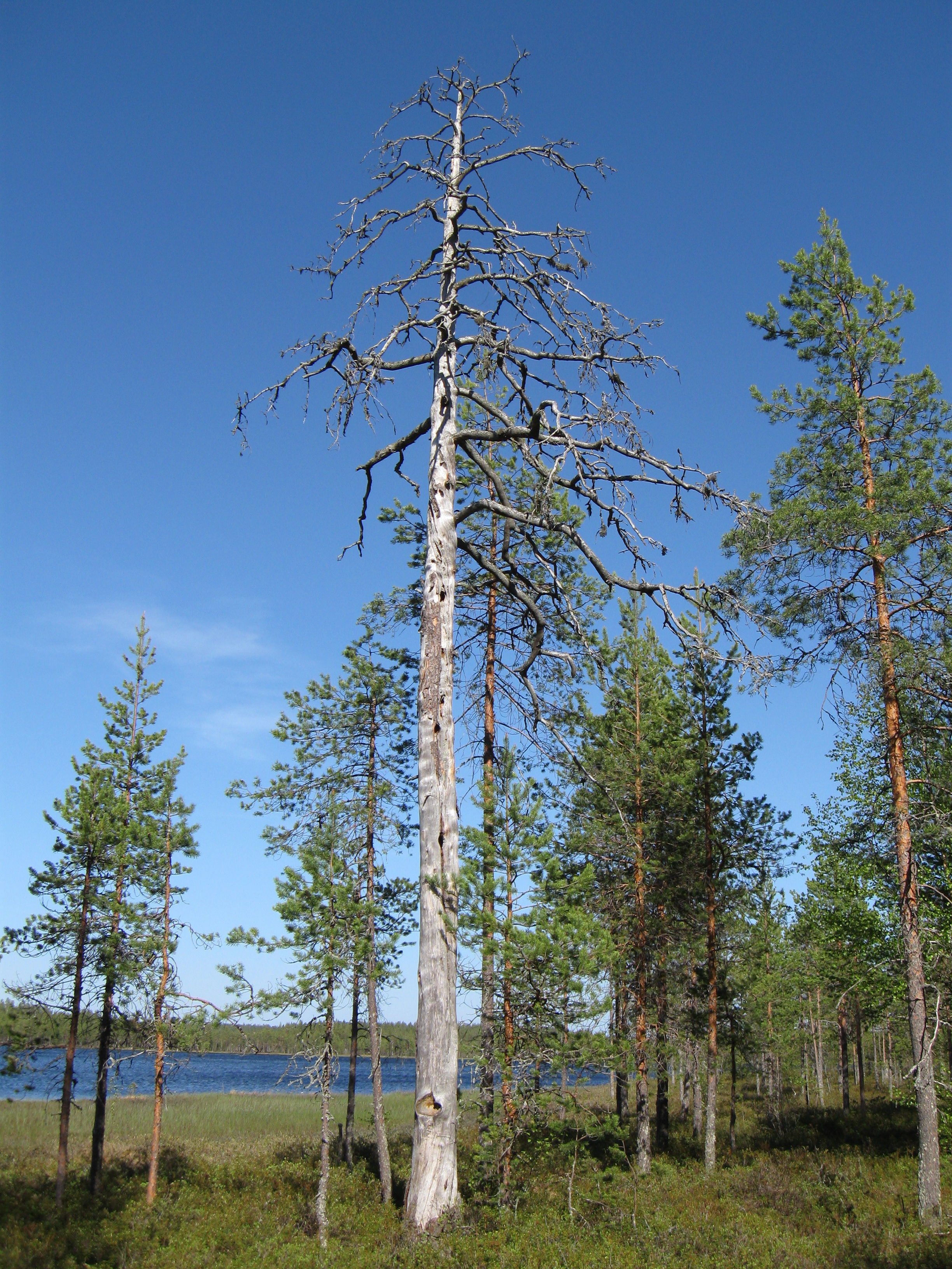 Фото проекта