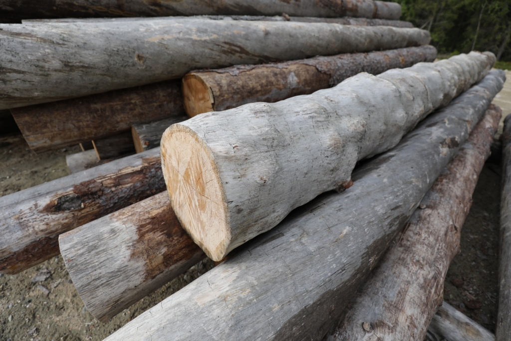 Фото проекта